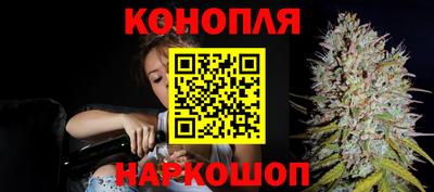 прущие крисы Ставрополь